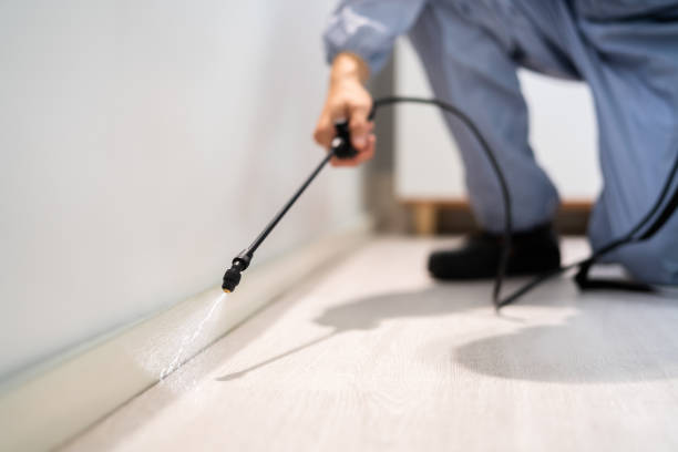 Rodent Entry Point Assessment in Lockport Heights