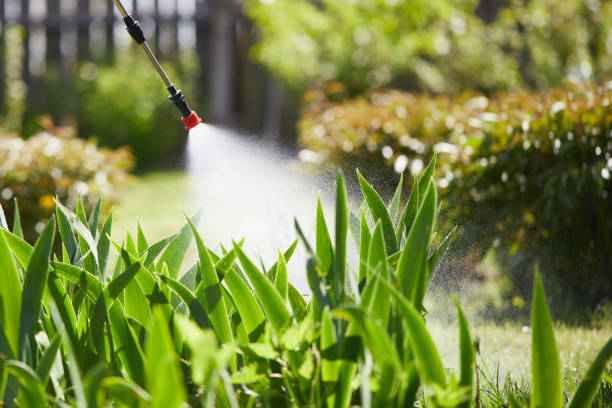 Tamper-Resistant Bait Stations for Rodents in Lockport Heights