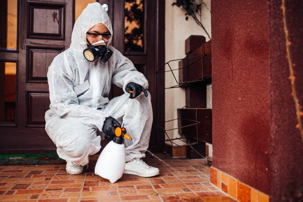 Attic and Crawl Space Rodent Treatment in Lockport Heights