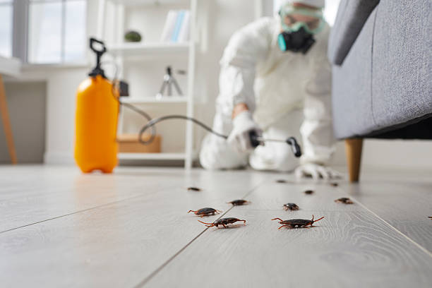 Commercial Rodent Management in Lockport Heights